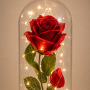 Luminária Encantée