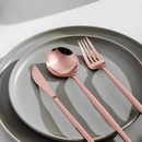 Jogo de Talheres Inox Minimalista Milão Rose
